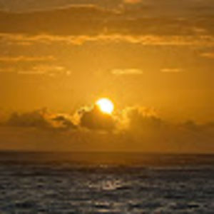 Meet your Posher, Penny